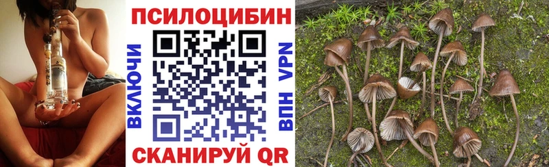 Псилоцибиновые грибы Magic Shrooms Калязин
